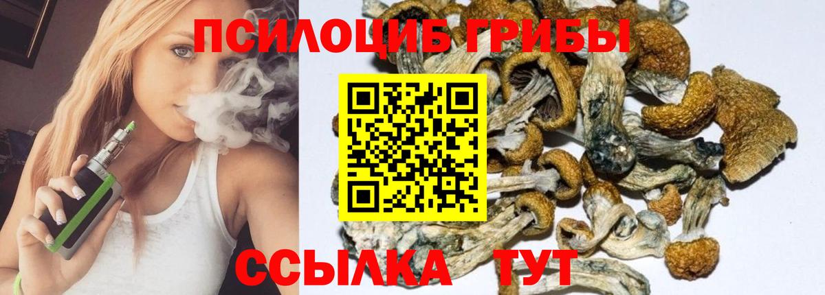 Псилоцибиновые грибы Cubensis Нарткала